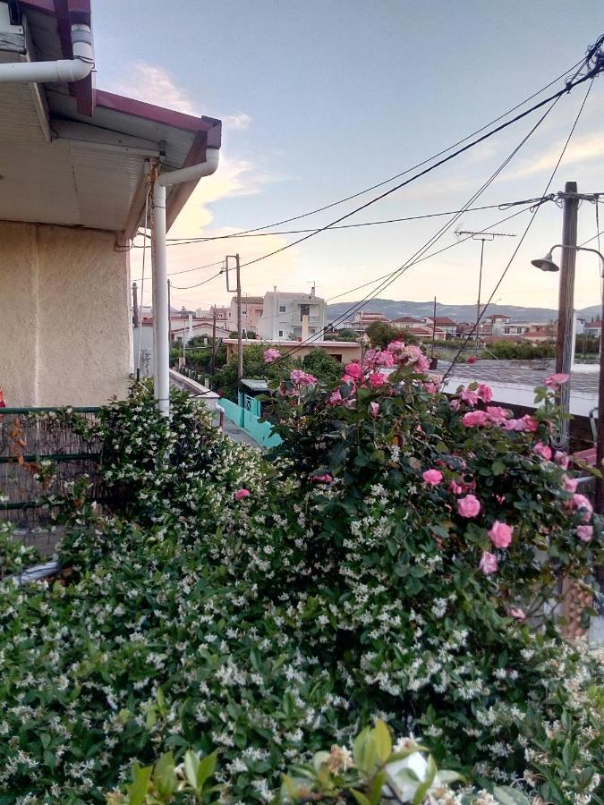 Appartement Cozy House 3 *